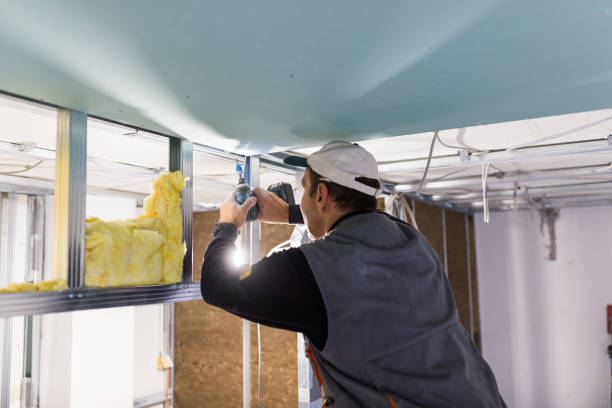 Best Garage Insulation Installation  in Vancleave, MS
