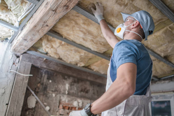 Best Cellulose Insulation  in Vancleave, MS