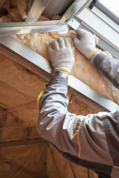 Best Professional Insulation Contractor  in Vancleave, MS