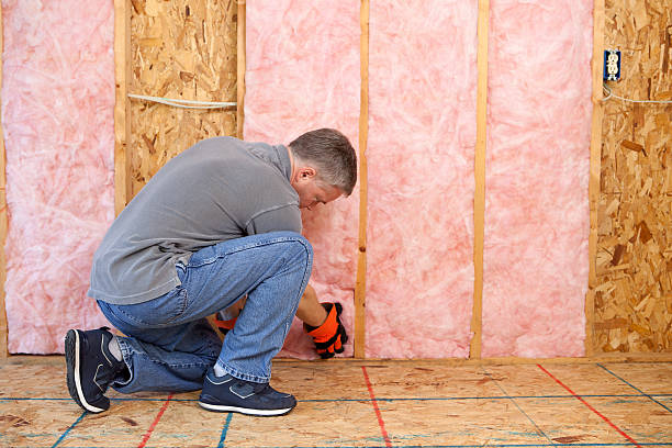 Best Local Insulation Services  in Vancleave, MS