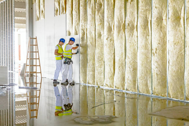 Best Home Insulation Services  in Vancleave, MS